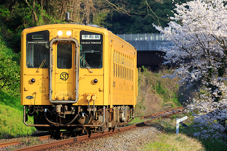 JR四国 予土線 土日祝日 全普通列車が自転車そのまま積み込みOKに
