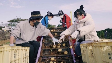 そのカレーライスの食材は誰がどう育て届けられるか!? ニッポンの食と農を体感するJALミステリーカレーツアー「華麗にマイル！」にZ世代が挑戦！ 日本航空×農林水産省「空から、ニッポンフードシフト」