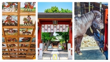 【2026年初詣】“馬”ゆかりの神社･東京都内のおすすめ3選！ 神馬に会える神田明神や天井画で新年の運気アップ等 “うまくいく”1年に