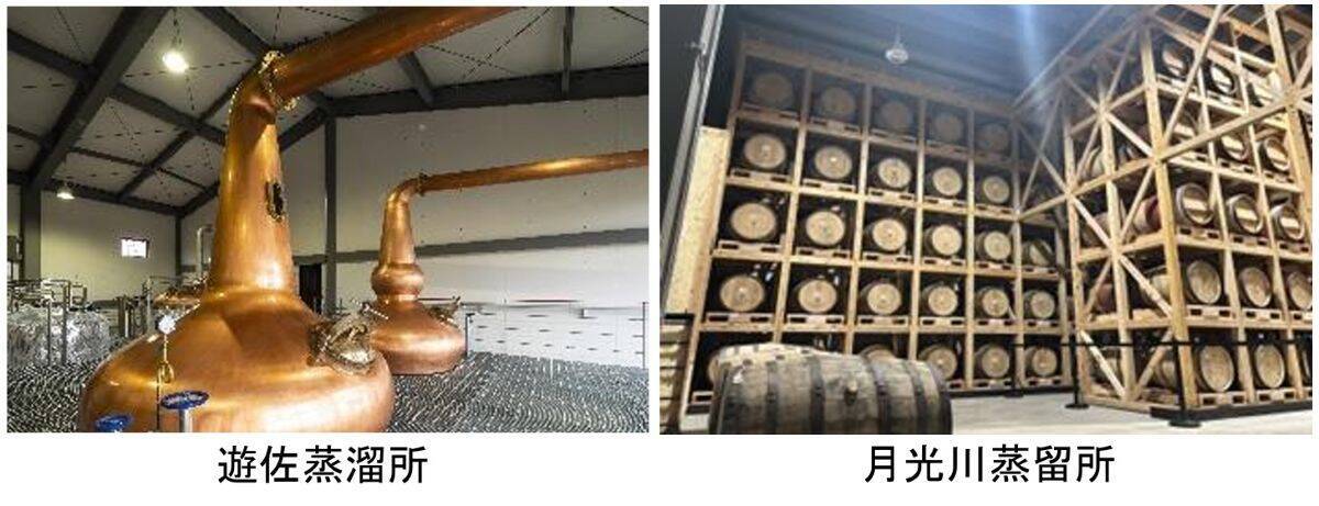 2026年夏は山形庄内へ！夏の旅行キャンペーンで 特急「いなほ」が伝説の国鉄583系カラーに！クラゲ水族館･大規模花火･美食の旅まで