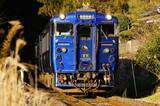 「特急「かわせみ やませみ」熊本～三角駅間で1日限りの特別運行 JR九州」の画像1