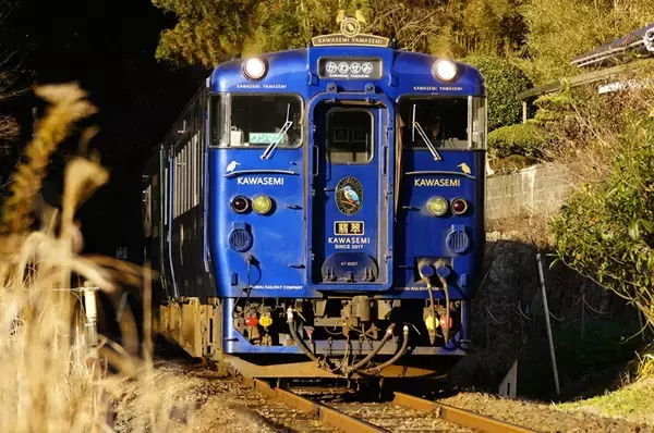 特急「かわせみ やませみ」熊本～三角駅間で1日限りの特別運行 JR九州