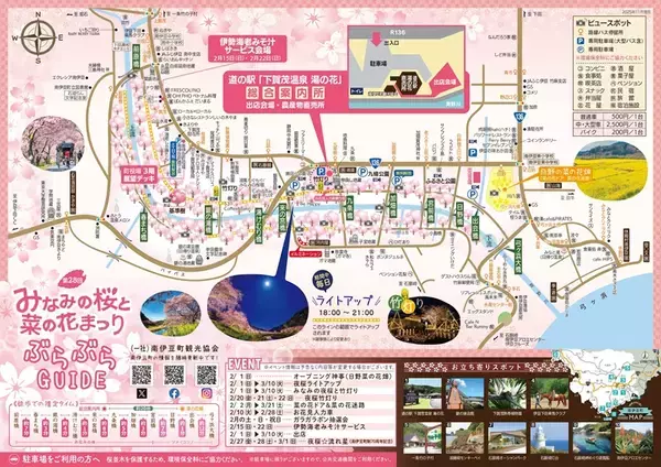 「河津桜と菜の花の共演「みなみの桜と菜の花まつり」開幕！10年ぶり「夜桜流れ星」が復活！臨時特急やお得なバス切符情報も（南伊豆町）」の画像