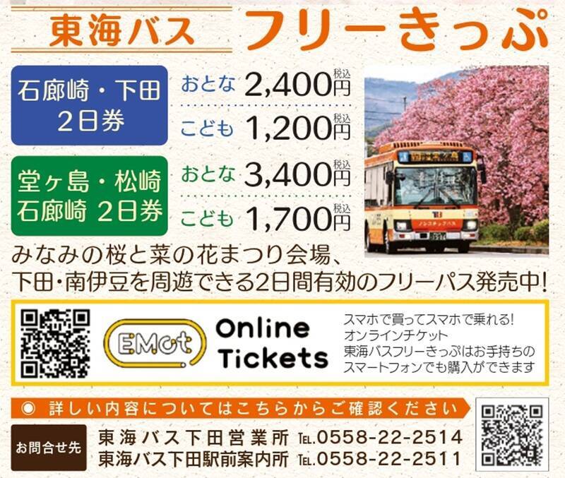 河津桜と菜の花の共演「みなみの桜と菜の花まつり」開幕！10年ぶり「夜桜流れ星」が復活！臨時特急やお得なバス切符情報も（南伊豆町）