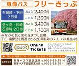 「河津桜と菜の花の共演「みなみの桜と菜の花まつり」開幕！10年ぶり「夜桜流れ星」が復活！臨時特急やお得なバス切符情報も（南伊豆町）」の画像8