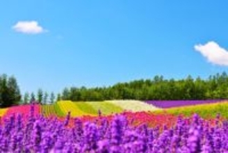 AIRDOが全線7,000円セール開催！5月･6月の北海道旅行が格安に、予約前の「ローマ字登録」に注意！