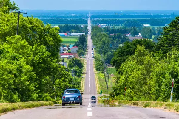 「AIRDOが全線7,000円セール開催！5月･6月の北海道旅行が格安に、予約前の「ローマ字登録」に注意！」の画像