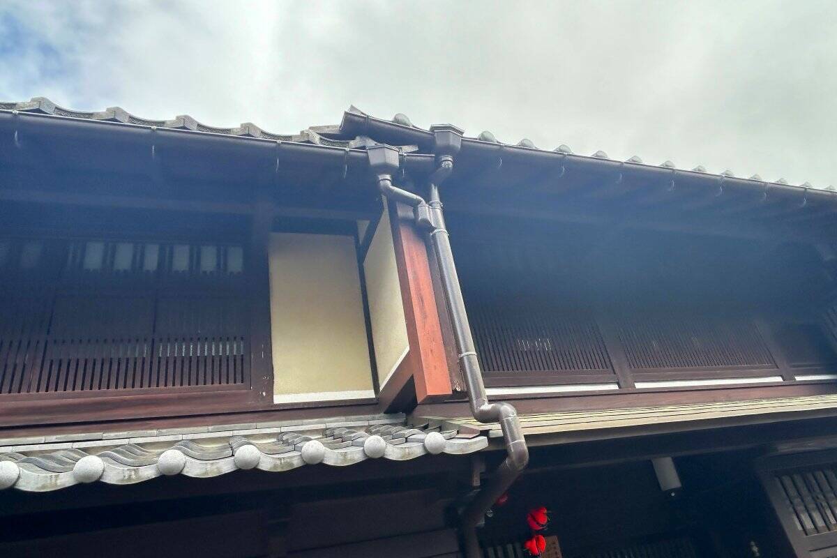 福井なのにゴリゴリ関西弁？ 800年生きる人魚伝説、レトロ建築の町並み「小浜西組」、町屋カフェで非日常を！週末観光に最適な小浜の歩き方