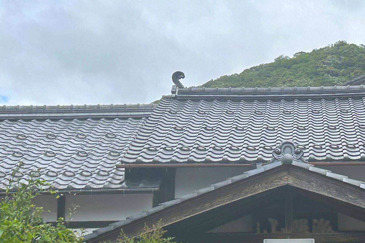 福井なのにゴリゴリ関西弁？ 800年生きる人魚伝説、レトロ建築の町並み「小浜西組」、町屋カフェで非日常を！週末観光に最適な小浜の歩き方