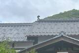 「福井なのにゴリゴリ関西弁？ 800年生きる人魚伝説、レトロ建築の町並み「小浜西組」、町屋カフェで非日常を！週末観光に最適な小浜の歩き方」の画像18