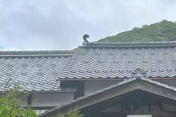 「福井なのにゴリゴリ関西弁？ 800年生きる人魚伝説、レトロ建築の町並み「小浜西組」、町屋カフェで非日常を！週末観光に最適な小浜の歩き方」の画像