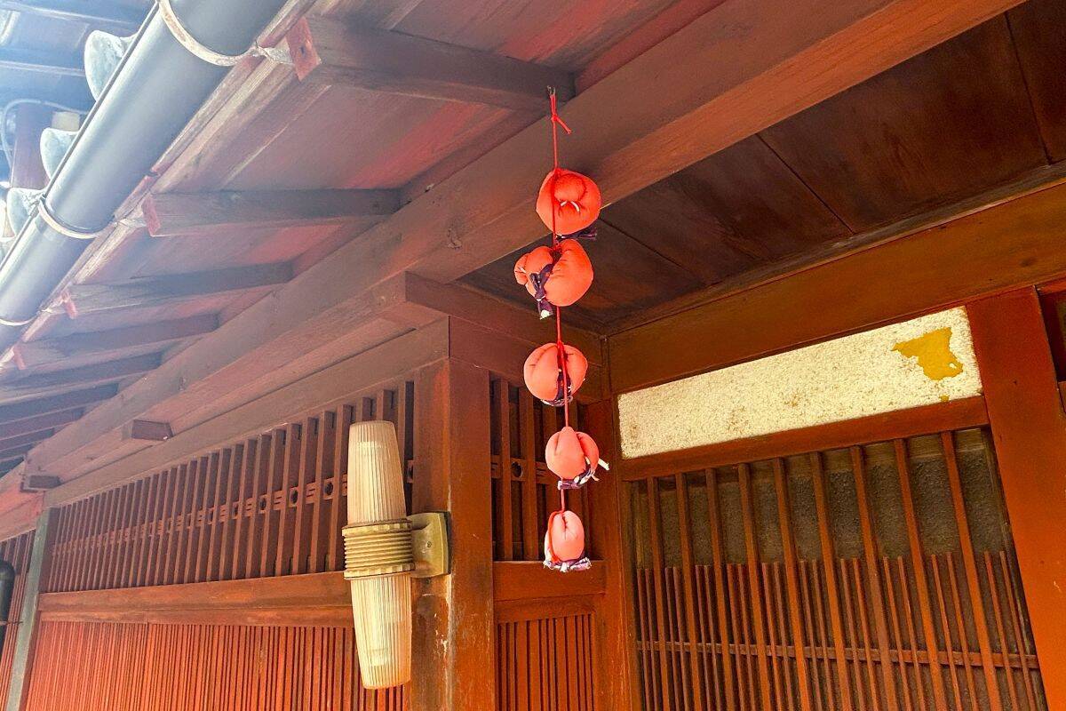 福井なのにゴリゴリ関西弁？ 800年生きる人魚伝説、レトロ建築の町並み「小浜西組」、町屋カフェで非日常を！週末観光に最適な小浜の歩き方