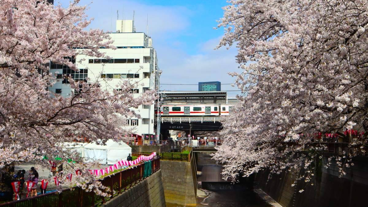 「東急電鉄 乗降人員ランキング」渋谷･横浜･武蔵小杉の順位は？東急全線ワーストは？新横浜線開業で新たな需要が拡大？