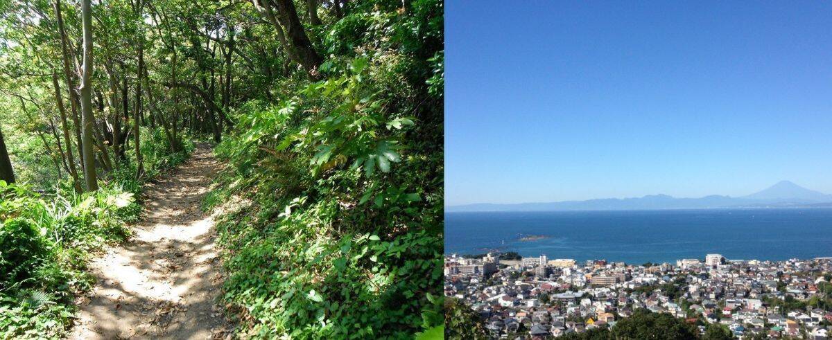 えっ、馬と一緒に海に入れるの？ 都心から1時間で叶う三浦半島「メリハリ旅」絶景・グルメ・極上リゾートホテルまで週末に非日常体験を！