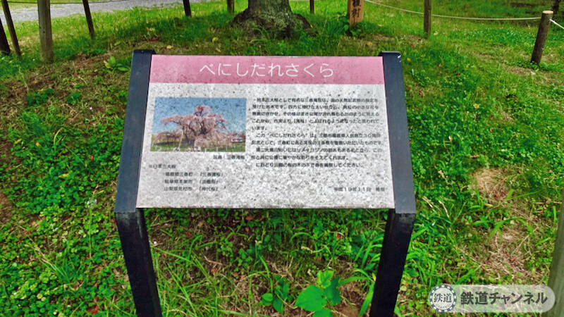 つくばエクスプレス【駅ぶら】035　三郷中央駅　その1　におどり公園