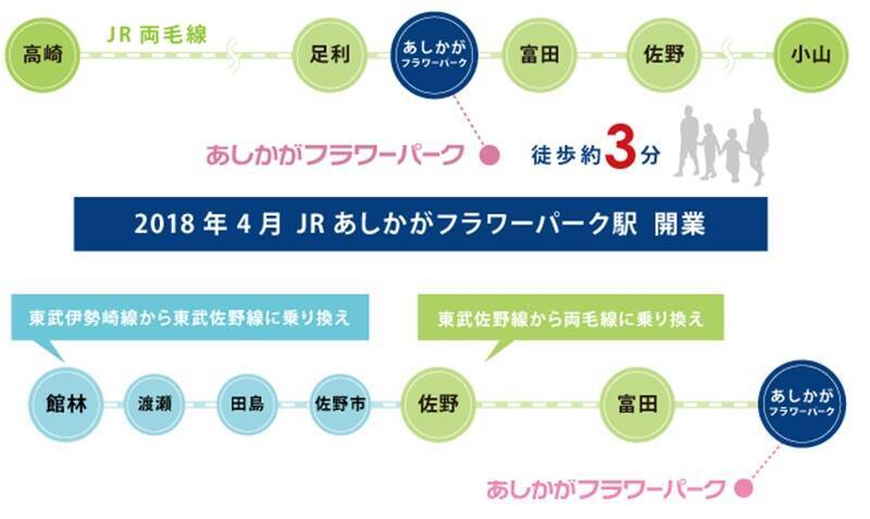 【4月来園がおすすめ】2026年あしかがフラワーパーク「大藤まつり」開幕！ 開花早まりライトアップ前倒し 見頃とアクセス・混雑回避術も解説