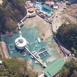 「まさかのダジャレ企画!? 下田海中水族館『鯵祭』で餌やり体験。下田公園あじさい祭とWで攻略するためのアクセス＆臨時特急まとめ（6/1～開催）」の画像3