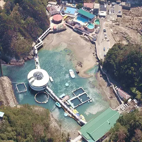 「まさかのダジャレ!? 下田公園300万輪の絶景と下田海中水族館「鯵祭（あじさい）」をWで楽しむ！アクセスや臨時特急ダイヤ（6/1～）伊豆」の画像