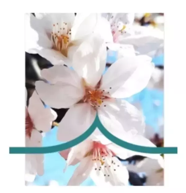 「東北新幹線の新型車両は「E10系」　JR東が設計着手、2030年度の営業開始目指す」の画像