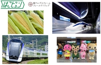 【八王子駅イベント】特急かいじが“幻のとうもろこし”を朝採れ輸送！「やまなしフェア2026」7/2から開催　産直市やリニアジオラマ展示も