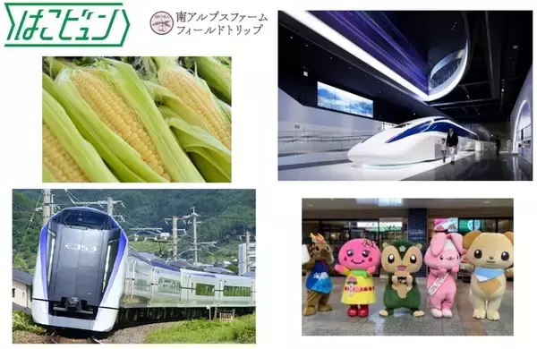 【八王子駅イベント】特急かいじが“幻のとうもろこし”を朝採れ輸送！「やまなしフェア2026」7/2から開催　産直市やリニアジオラマ展示も