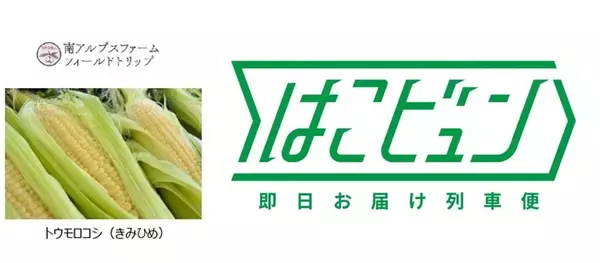 「【八王子駅イベント】特急かいじが“幻のとうもろこし”を朝採れ輸送！「やまなしフェア2026」7/2から開催　産直市やリニアジオラマ展示も」の画像