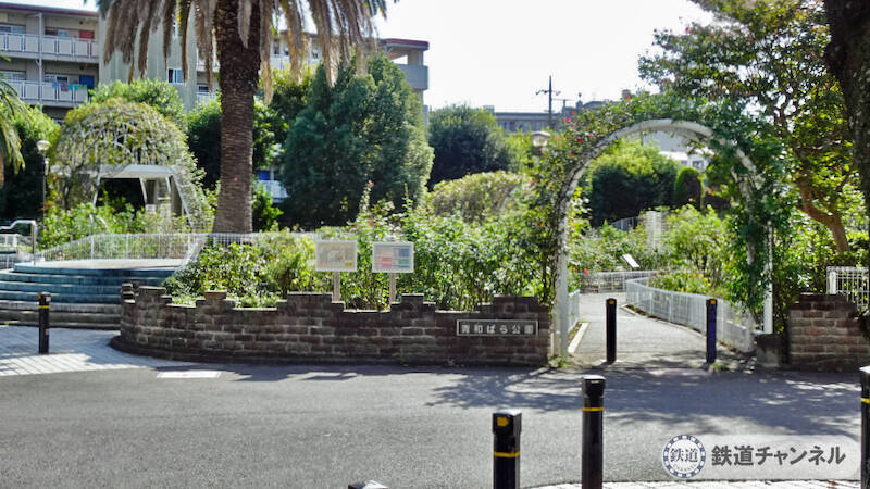 つくばエクスプレス【駅ぶら】062　流山おおたかの森駅 その4 トラットリア サレルノ ランチ 青和ばら公園 再訪
