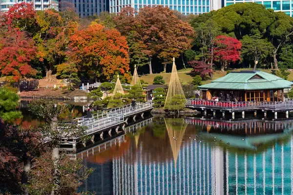 「東京都内の紅葉名所 10選！ 駅近の庭園、絶景並木道、渓谷、関東三大不動尊などのライトアップ･見頃･アクセス情報まとめ【2025年版】」の画像