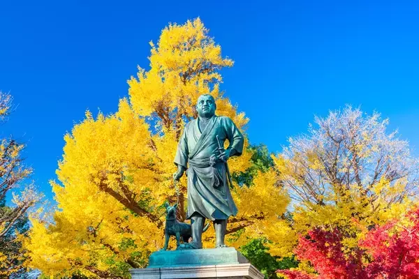 「東京都内の紅葉名所 10選！ 駅近の庭園、絶景並木道、渓谷、関東三大不動尊などのライトアップ･見頃･アクセス情報まとめ【2025年版】」の画像