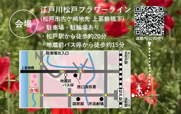 「週末おでかけは松戸へ！「江戸川松戸フラワーライン春の花まつり」で絶景ポピーとふれあい動物園、白熱の恐竜レースも楽しもう（5/30開催）」の画像