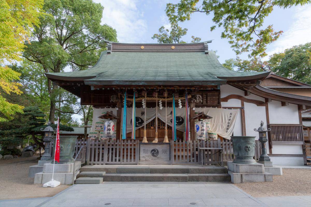 週末おでかけは松戸へ！「江戸川松戸フラワーライン春の花まつり」で絶景ポピーとふれあい動物園、白熱の恐竜レースも楽しもう（5/30開催）