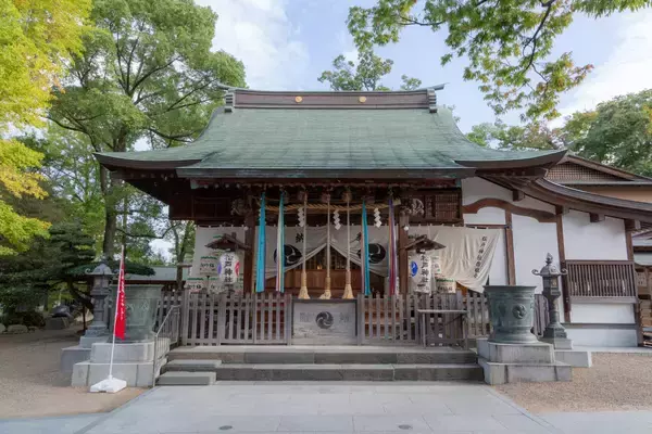「週末おでかけは松戸へ！「江戸川松戸フラワーライン春の花まつり」で絶景ポピーとふれあい動物園、白熱の恐竜レースも楽しもう（5/30開催）」の画像