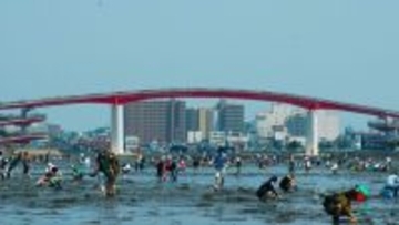 木更津で潮干狩り、5つの海岸を徹底比較！ アウトレット至近にBBQや渡り船など目的別の海岸選びのコツ、料金･開催期間･アクセスまとめ