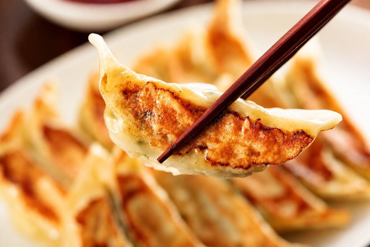 埼玉・川越駅すぐ！「川越餃子祭り」とは？宇都宮・浜松からご当地和牛まで全国の人気餃子を食べ比べ【7月25日・26日開催】