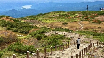 日本一早い秋の紅葉！2026年北海道・大雪山「黒岳・旭岳」見頃はいつ？ロープウェイでのアクセスからSNS映えイルミネーションまで現地レポ