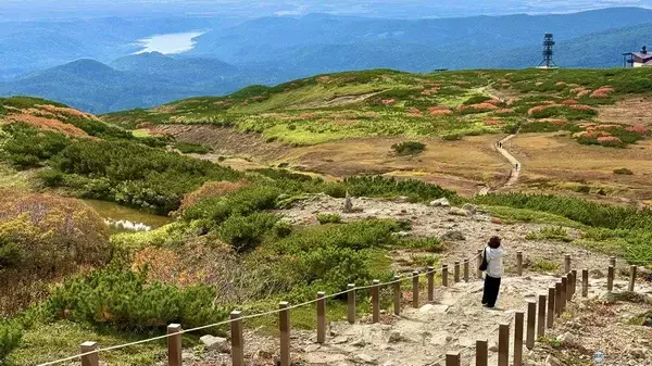 日本一早い秋の紅葉！2026年北海道・大雪山「黒岳・旭岳」見頃はいつ？ロープウェイでのアクセスからSNS映えイルミネーションまで現地レポ