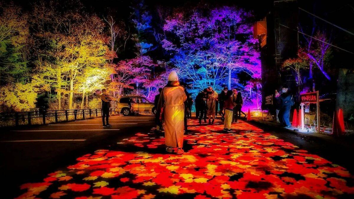日本一早い秋の紅葉！2026年北海道・大雪山「黒岳・旭岳」見頃はいつ？ロープウェイでのアクセスからSNS映えイルミネーションまで現地レポ