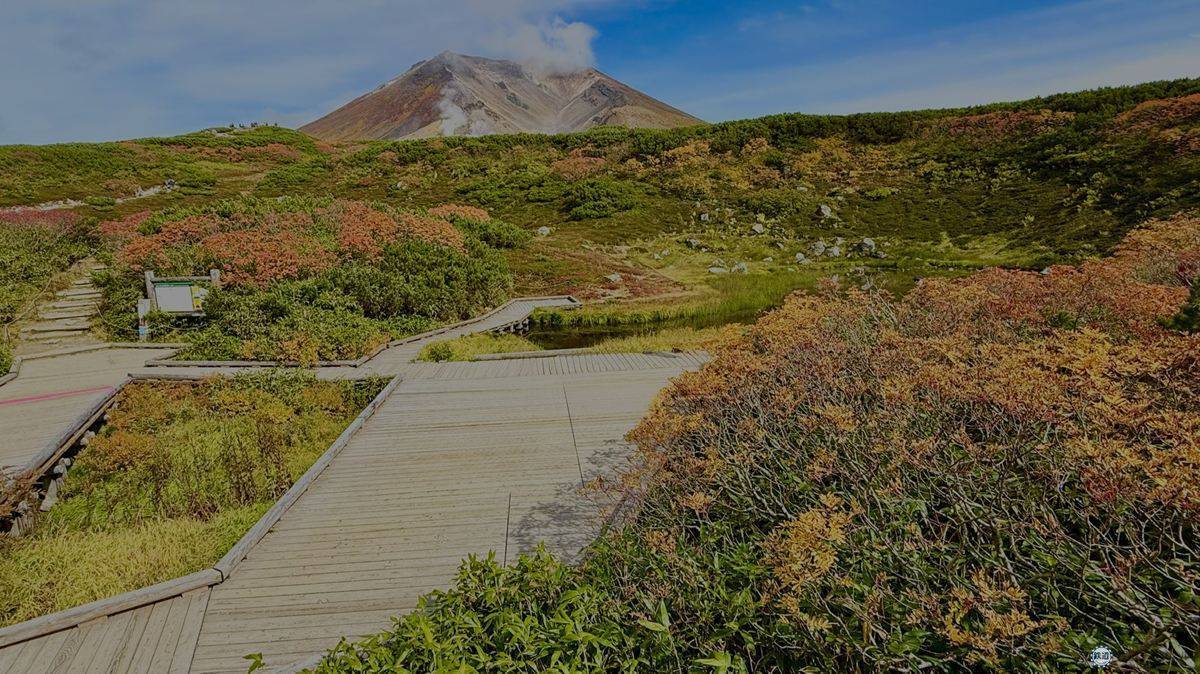 日本一早い秋の紅葉！2026年北海道・大雪山「黒岳・旭岳」見頃はいつ？ロープウェイでのアクセスからSNS映えイルミネーションまで現地レポ