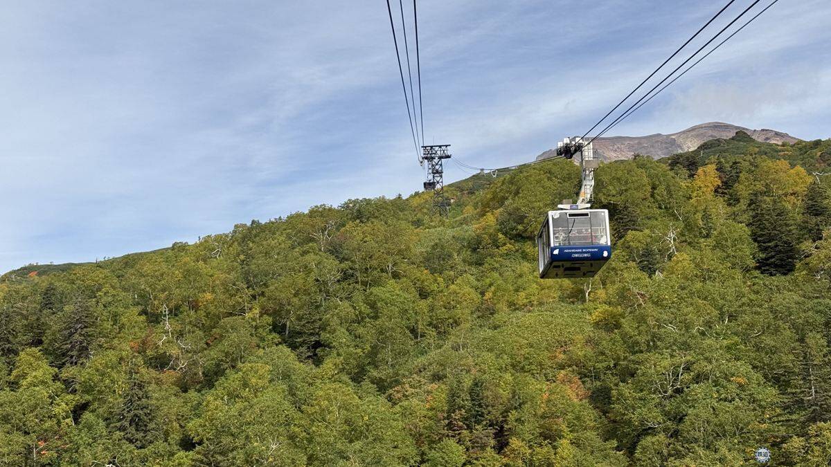 日本一早い秋の紅葉！2026年北海道・大雪山「黒岳・旭岳」見頃はいつ？ロープウェイでのアクセスからSNS映えイルミネーションまで現地レポ