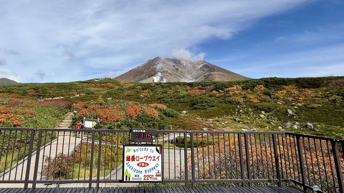 日本一早い秋の紅葉！2026年北海道・大雪山「黒岳・旭岳」見頃はいつ？ロープウェイでのアクセスからSNS映えイルミネーションまで現地レポ