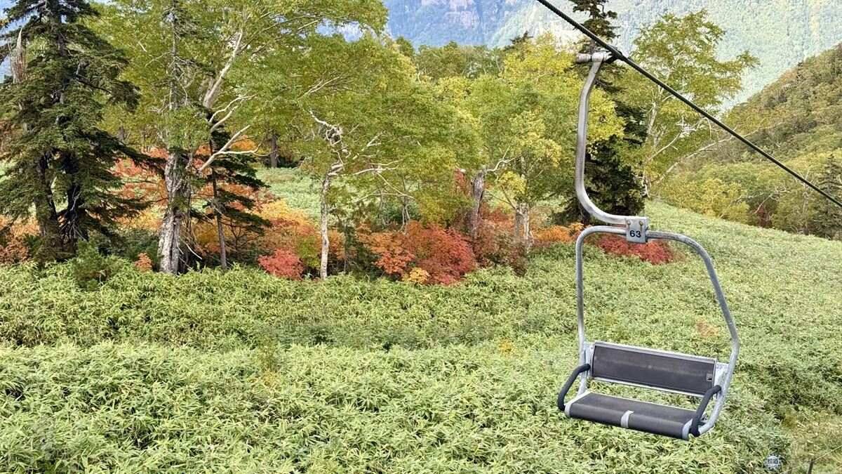 日本一早い秋の紅葉！2026年北海道・大雪山「黒岳・旭岳」見頃はいつ？ロープウェイでのアクセスからSNS映えイルミネーションまで現地レポ
