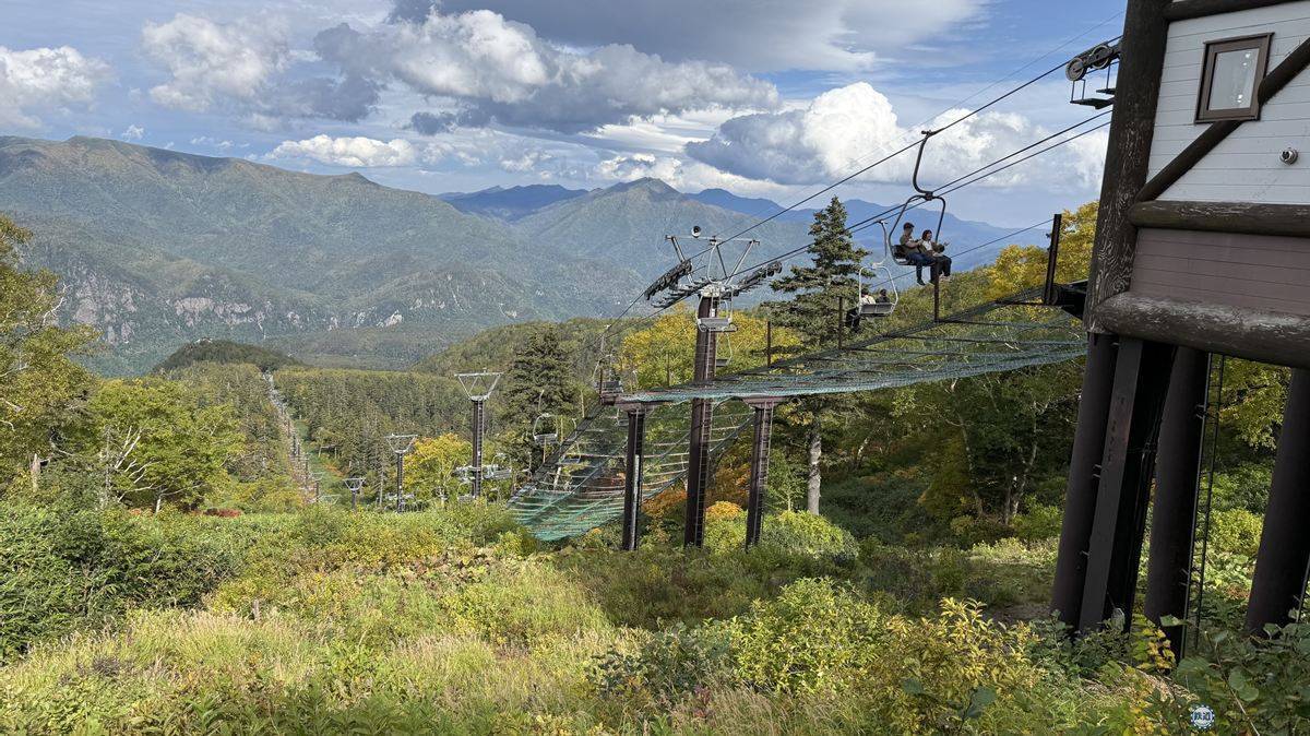 日本一早い秋の紅葉！2026年北海道・大雪山「黒岳・旭岳」見頃はいつ？ロープウェイでのアクセスからSNS映えイルミネーションまで現地レポ