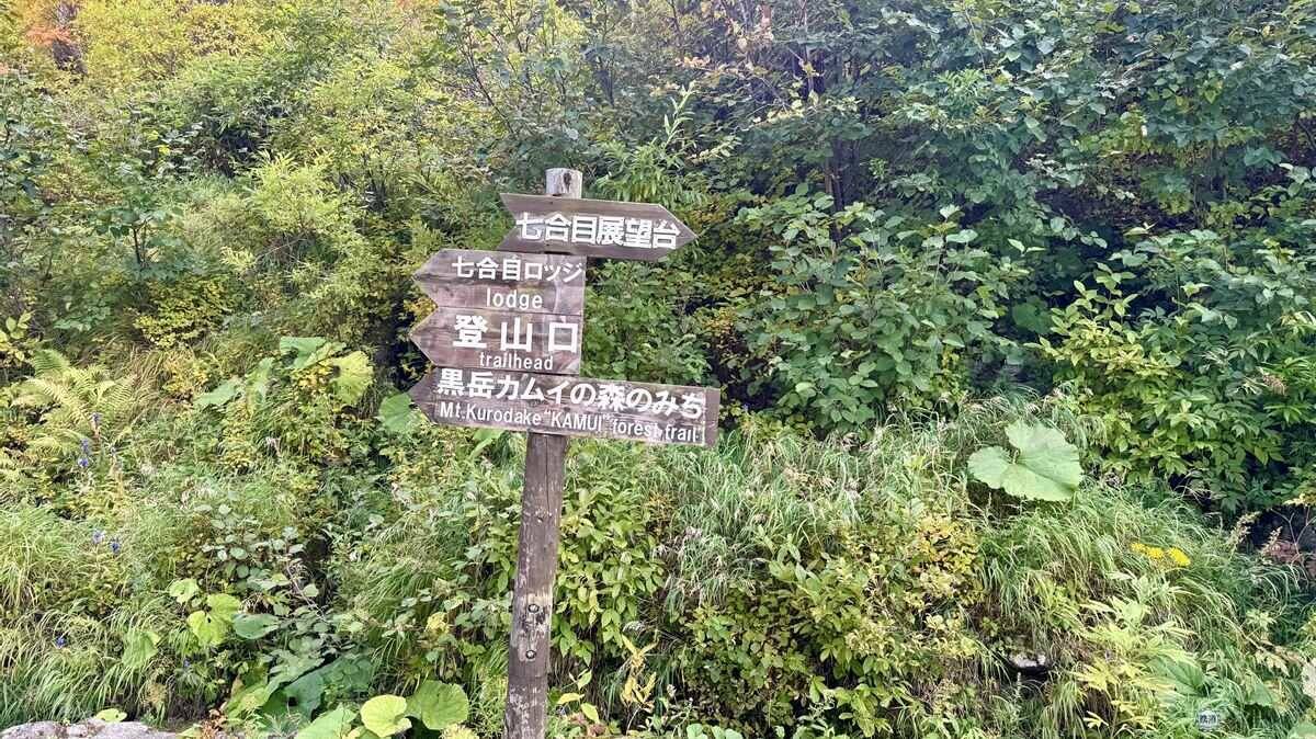 日本一早い秋の紅葉！2026年北海道・大雪山「黒岳・旭岳」見頃はいつ？ロープウェイでのアクセスからSNS映えイルミネーションまで現地レポ