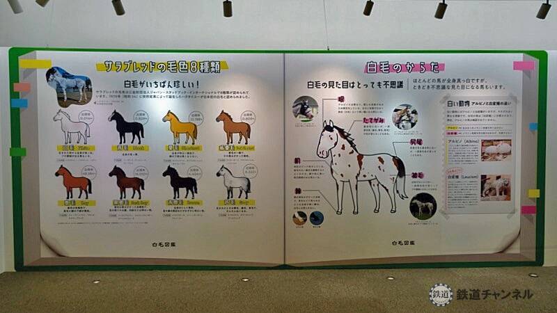 「JRA競馬博物館」に入館しました【駅ぶら】06京王電鉄277　競馬場線5