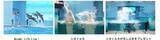 「西武園のほぼとしまえんプール×品川・八景島の水族館！猛暑を乗り切る「アクティブパス」で夏休みをお得に楽しむ！」の画像3