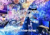 「西武園のほぼとしまえんプール×品川・八景島の水族館！猛暑を乗り切る「アクティブパス」で夏休みをお得に楽しむ！」の画像4