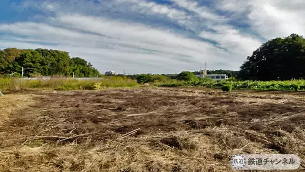 「つくばエクスプレス【駅ぶら】065　流山おおたかの森駅 その7　大畔 天満宮」の画像