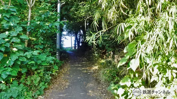 「つくばエクスプレス【駅ぶら】065　流山おおたかの森駅 その7　大畔 天満宮」の画像