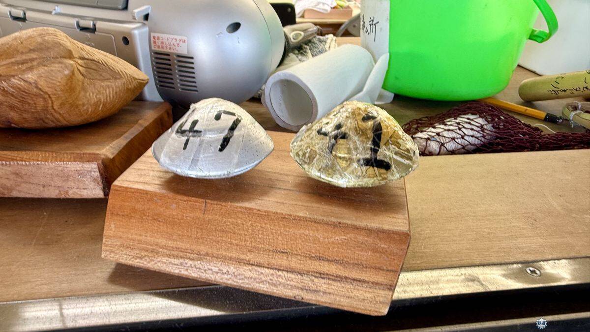 車なし・手ぶらで木更津へ！ 電車とバスで行く「木更津海岸」潮干狩り アクセスからご当地グルメまで初心者体験レポート（2026年版）