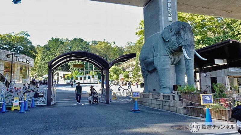 成人の日「多摩動物公園」に一人で来ました【駅ぶら】06京王電鉄272　動物園線7